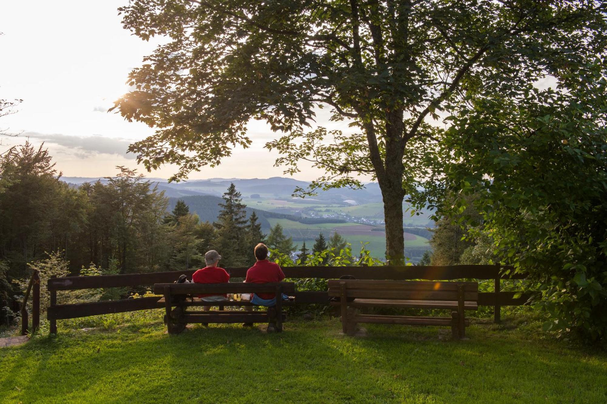 Gasthof-Pension Hunaustuben Шмаленберг Екстериор снимка