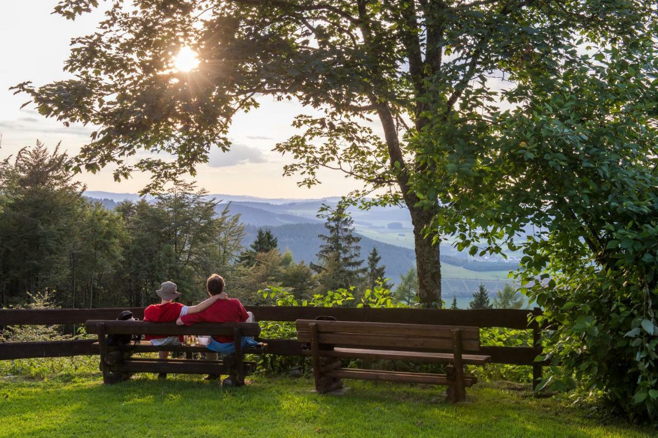 Gasthof-Pension Hunaustuben Шмаленберг Екстериор снимка